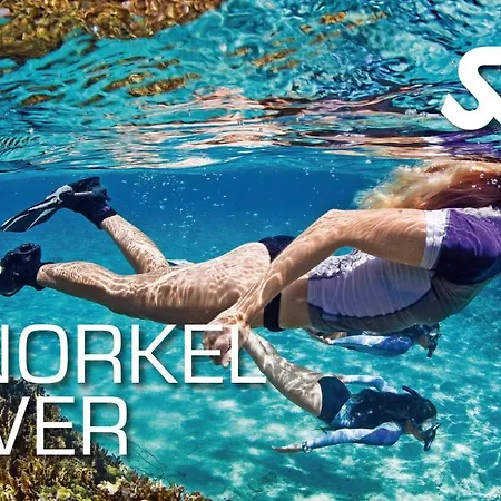 A Casa Minhas Netas * Caldas Da Rainha