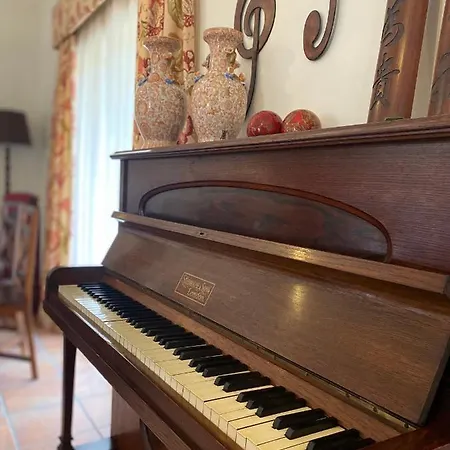 A Casa Minhas Netas * Caldas Da Rainha