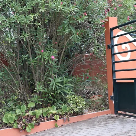 別荘 A Casa Minhas Netas *