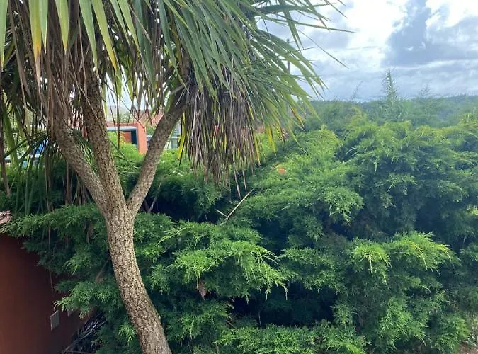 A Casa Minhas Netas Holiday home